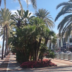 Jeddah Yachts Marina